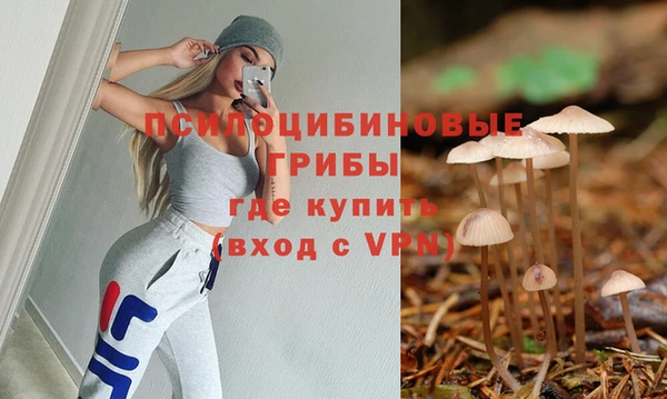 дурь Богданович